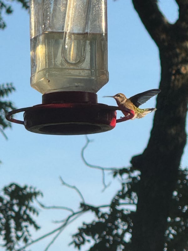 property at 2026 W 9th Ave