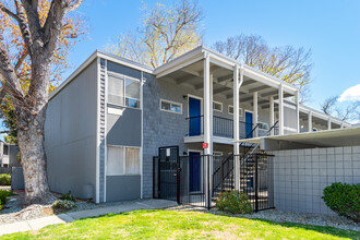 Pine Terrace Apartments in Concord, CA - Building Photo - Building Photo