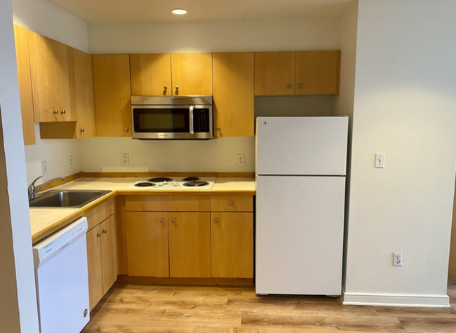 135 Tremont St, Unit 5B in Cambridge, MA - Building Photo - Building Photo