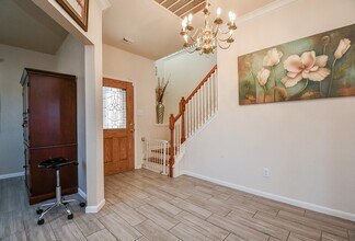 2810 Powell Springs Ct in Missouri City, TX - Building Photo - Building Photo