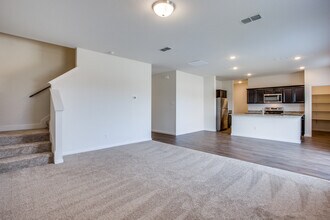 209 Briar Cv in Anna, TX - Building Photo - Building Photo