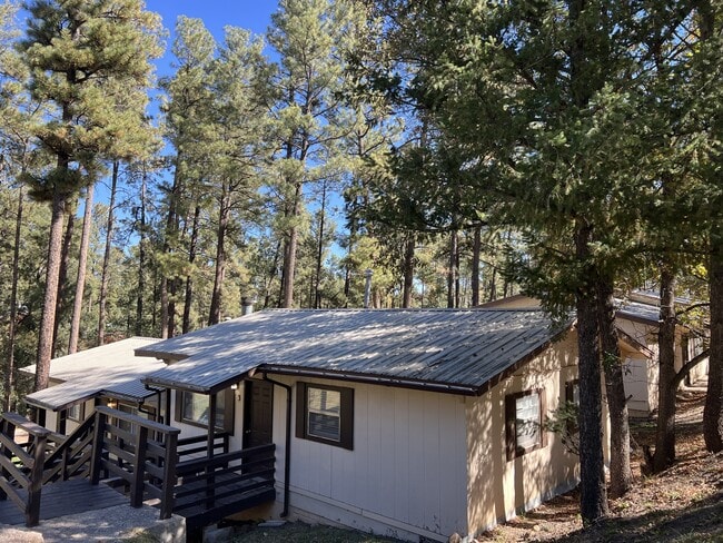 property at 100 Apache Hills Dr