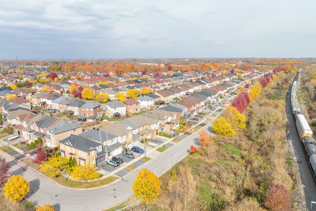 36 Gristone Cres in Toronto, ON - Building Photo - Building Photo