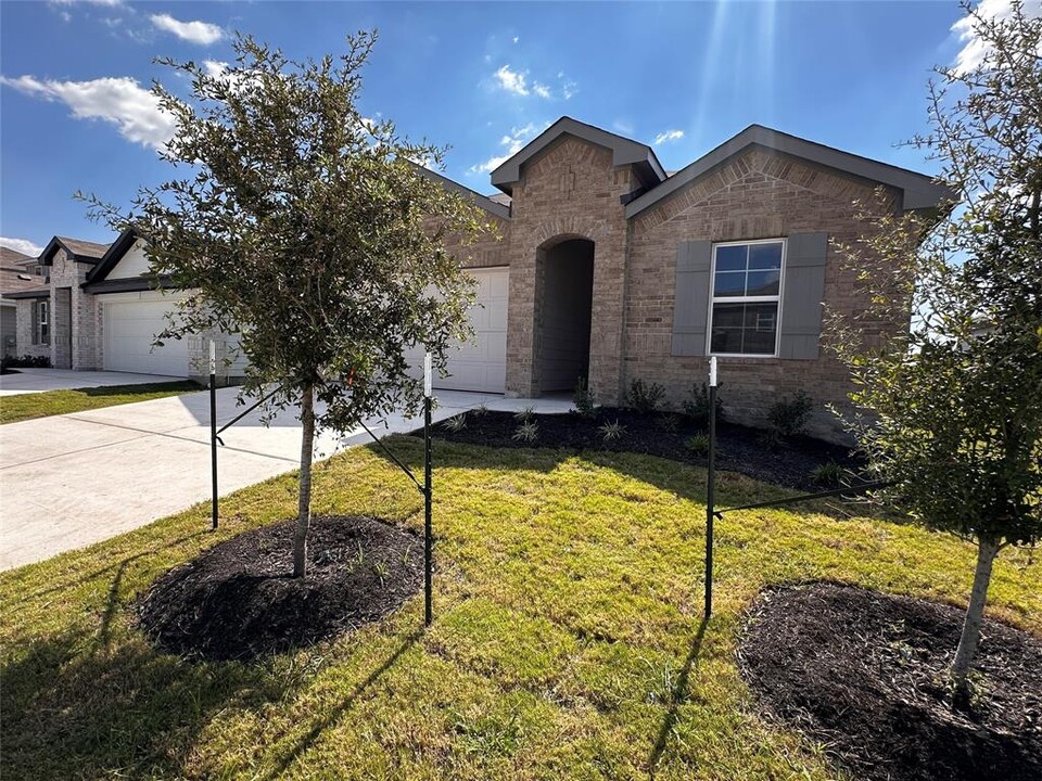 20209 Heinrich Ln in Manor, TX - Foto de edificio