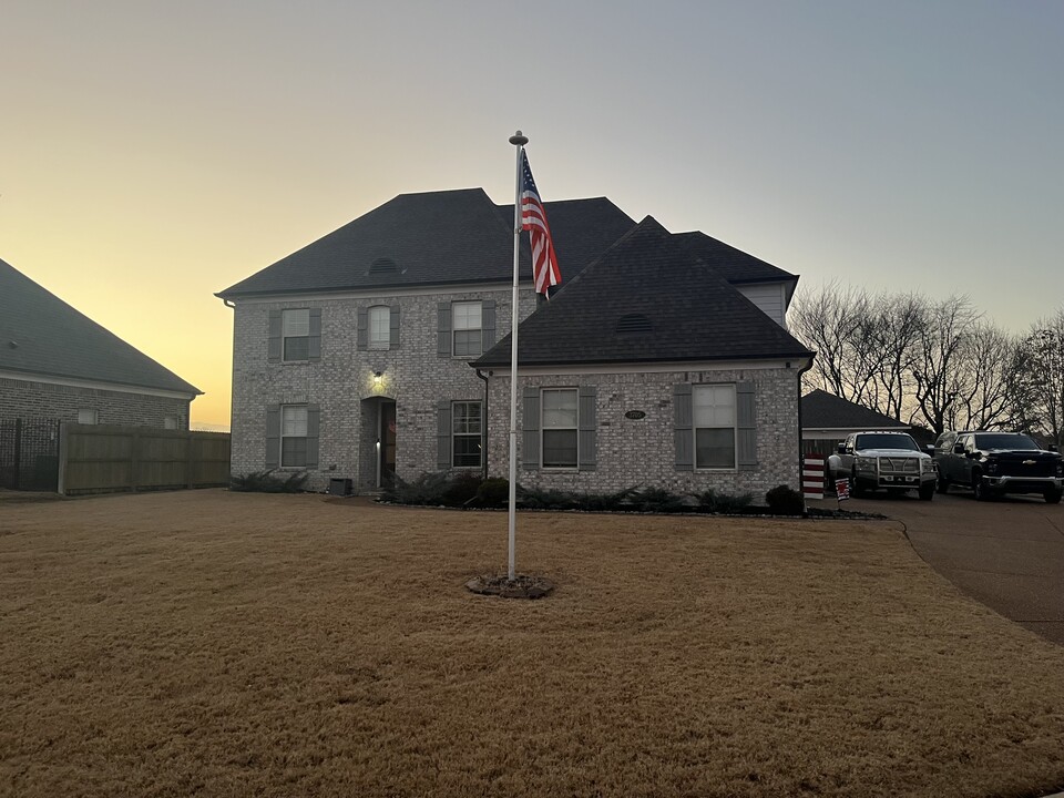 3705 Beech Tree Cv in Southaven, MS - Building Photo