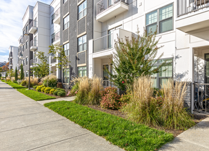 The Ivy Apartment Homes in Louisville, KY - Building Photo - Building Photo