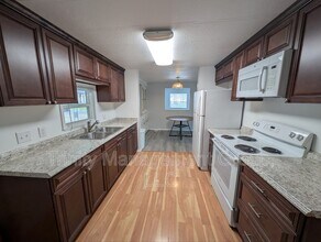 207 Dolphin Dr N in Oldsmar, FL - Building Photo - Building Photo