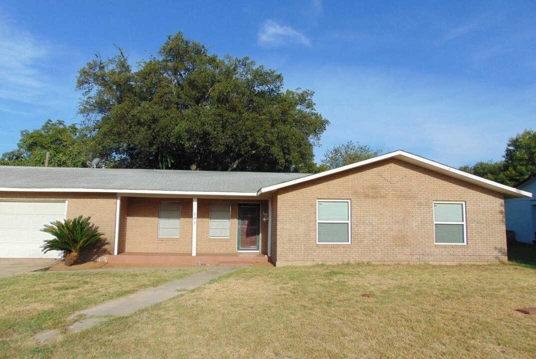 203 McGee Trail in Kingsland, TX - Building Photo