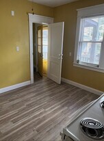 110 Dunmoreland St, Unit Apt 1 in Springfield, MA - Building Photo