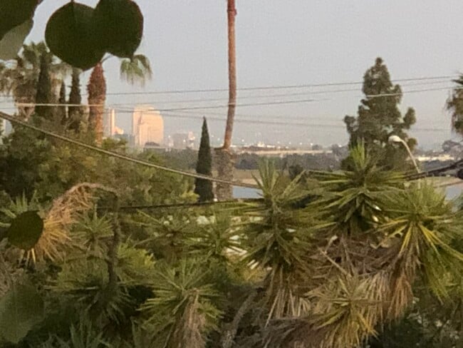 property at 2080 Hornblend St