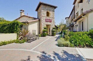 936 Fontana Terrace in Sunnyvale, CA - Building Photo