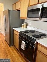 2703 Snowbird Terrace