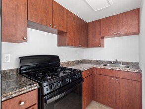 12401 N 15th St, Unit 419 in Tampa, FL - Building Photo - Building Photo