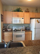 222 N Columbus Dr, Unit 4009 in Chicago, IL - Building Photo - Building Photo