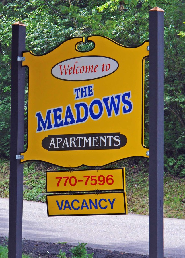 The Meadows Apartments in Vestal, NY - Building Photo - Building Photo