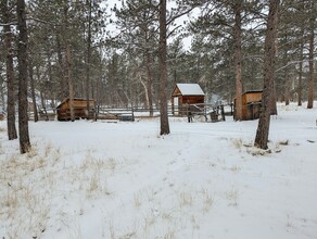 879 Tincup Terrace in Bailey, CO - Building Photo - Building Photo