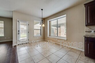 11213 Amistad Dr in Frisco, TX - Building Photo - Building Photo