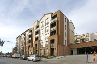 Epic Phase III in San Jose, CA - Building Photo - Building Photo