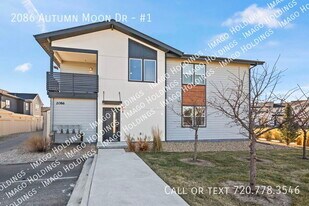 2086 Autumn Moon Dr in Windsor, CO - Building Photo