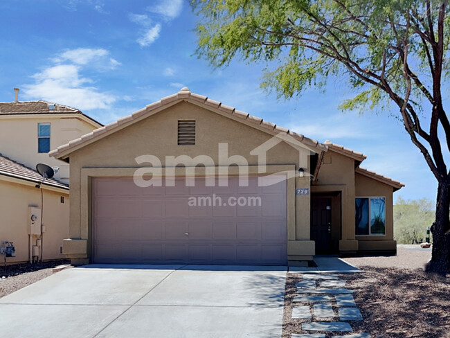 729 W Firehawk Dr