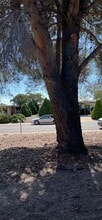 1179 Paseo Juanita in Sierra Vista, AZ - Building Photo - Building Photo