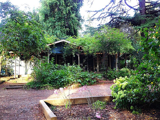 16248 Main St in Guerneville, CA - Building Photo - Building Photo