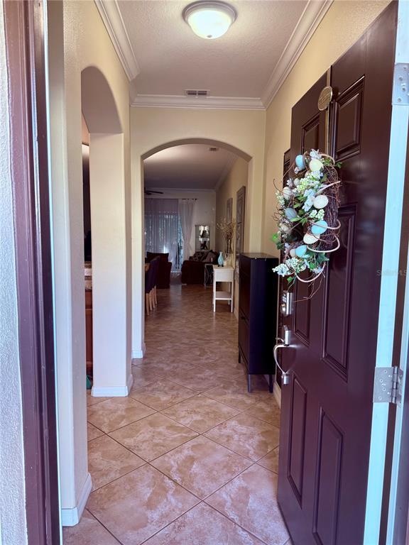 2411 Willimette Dr in Wesley Chapel, FL - Building Photo - Building Photo