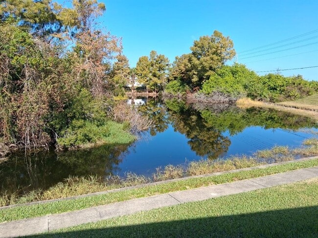 7737 Eureka Dr in Hudson, FL - Building Photo - Building Photo