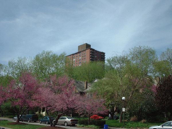 Executive House Apartments in St. Louis, MO - Foto de edificio - Building Photo