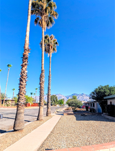 1810 N Heatherbrae Ave in Tucson, AZ - Building Photo - Building Photo