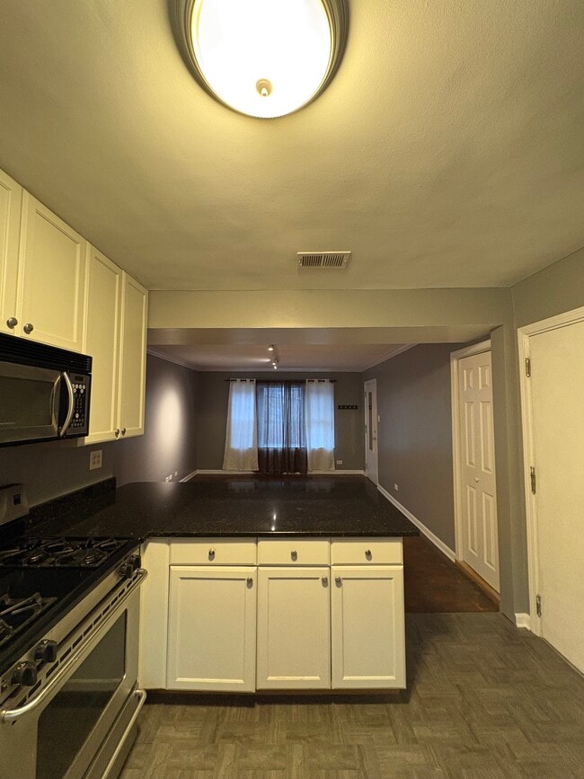 129 Elmwood Ave, Unit 2s in Evanston, IL - Building Photo - Building Photo