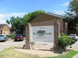 9090 S Braeswood Blvd in Houston, TX - Building Photo