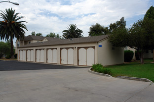 Bostonia Palms Apartments in El Cajon, CA - Foto de edificio - Building Photo