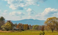 460 Lasher Rd in Tivoli, NY - Foto de edificio - Building Photo