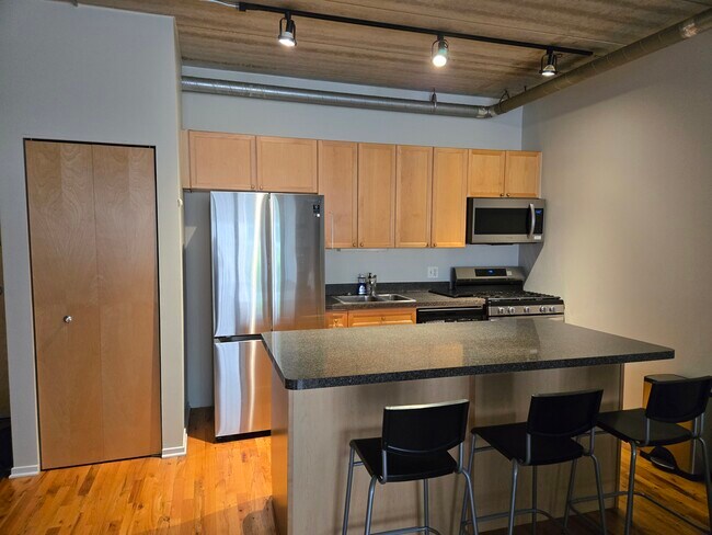 1430 S Michigan Ave, Unit 1430 S Michigan Ave in Chicago, IL - Building Photo - Building Photo