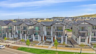 10860 Lyric St in Parker, CO - Building Photo