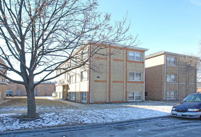 10237 Chestnut Ave in Franklin Park, IL - Foto de edificio - Building Photo