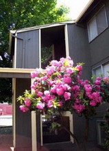 Timber Terrace Apartments XB-YY21 in Portland, OR - Building Photo - Building Photo