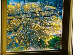 64 Jireh St in New Bedford, MA - Foto de edificio - Building Photo