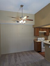 7944 E Colette Cir in Tucson, AZ - Building Photo - Building Photo