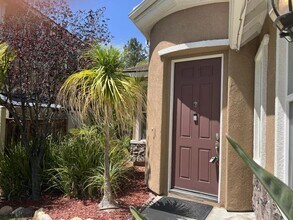 27749 Hackberry St in Murrieta, CA - Building Photo - Building Photo