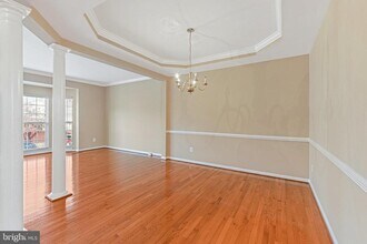 22047 Chelsy Paige Square in Ashburn, VA - Building Photo - Building Photo