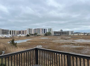 137 Jamestown Rd in Ocean City, MD - Foto de edificio - Building Photo