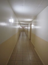 12 Willard St in Hartford, CT - Building Photo - Building Photo