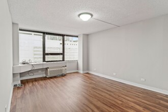 1215 S Michigan Ave in Chicago, IL - Foto de edificio - Building Photo