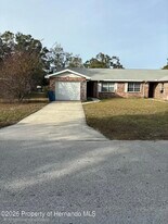 8116 Omaha Cir in Spring Hill, FL - Building Photo