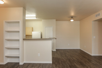 Vida Que Canta Apartments in Mission, TX - Building Photo - Interior Photo