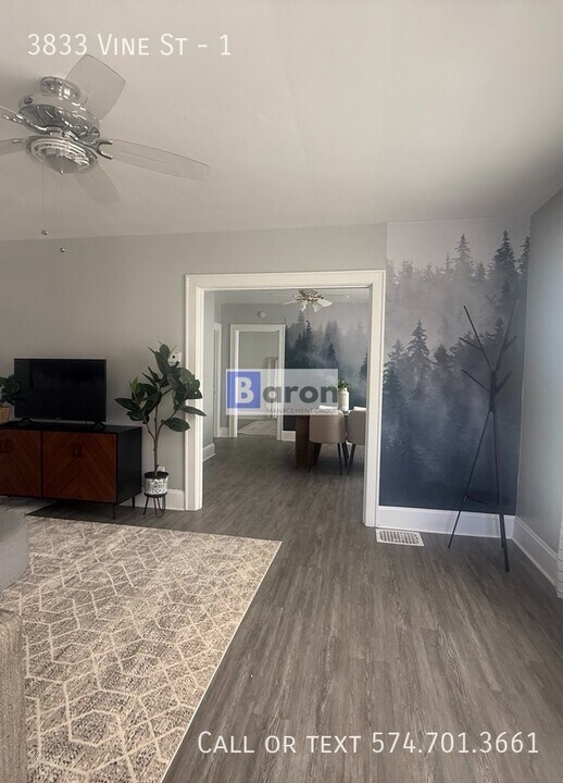 3833 Vine St in Cincinnati, OH - Building Photo