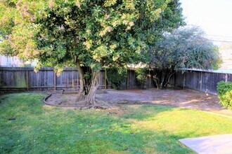 3618 Curtiss St in San Mateo, CA - Building Photo - Building Photo