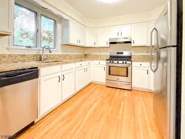 8 Magnolia Ct in Madison, NJ - Building Photo - Building Photo